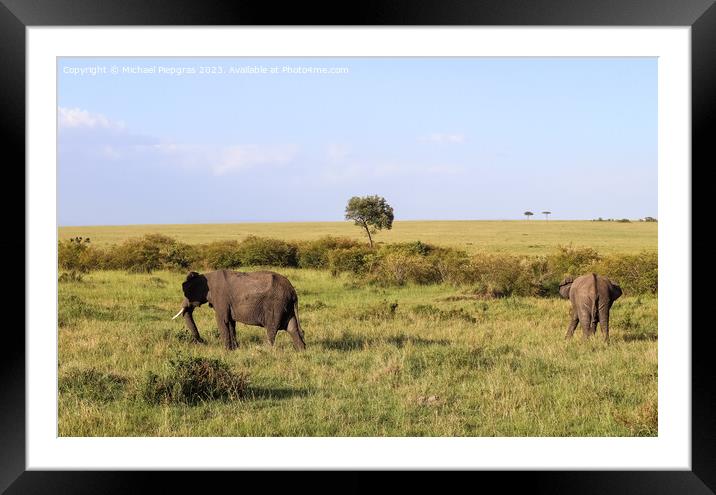 Wild elephants in the bushveld of Africa on a sunny day. Framed Mounted Print by Michael Piepgras