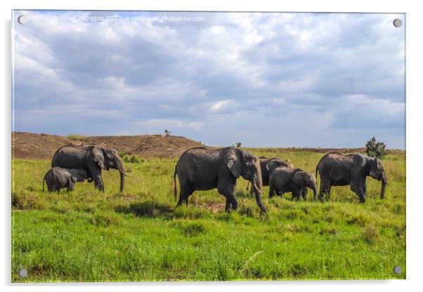 Wild elephants in the bushveld of Africa on a sunny day. Acrylic by Michael Piepgras