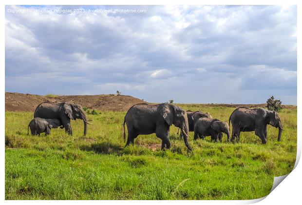 Wild elephants in the bushveld of Africa on a sunny day. Print by Michael Piepgras