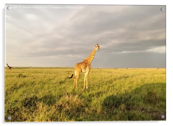 Beautiful giraffe in the wild nature of Africa. Acrylic by Michael Piepgras