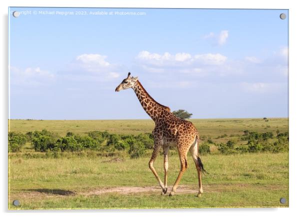 Beautiful giraffe in the wild nature of Africa. Acrylic by Michael Piepgras