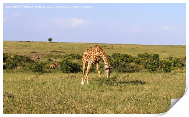 Beautiful giraffe in the wild nature of Africa. Print by Michael Piepgras