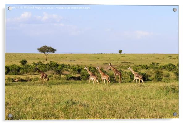 Beautiful giraffe in the wild nature of Africa. Acrylic by Michael Piepgras