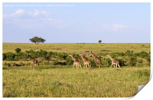 Beautiful giraffe in the wild nature of Africa. Print by Michael Piepgras