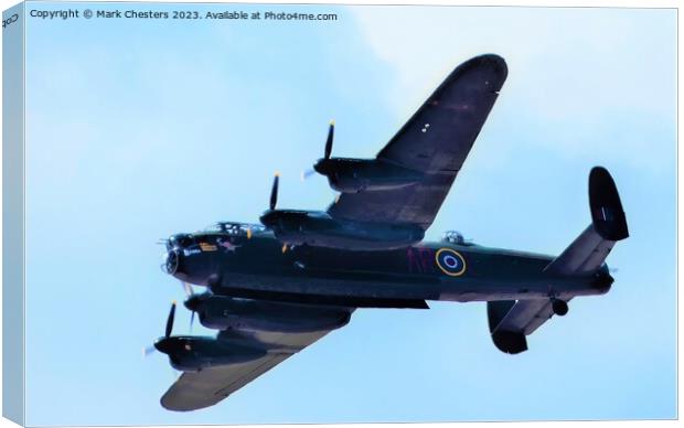 Majesty in Flight Canvas Print by Mark Chesters