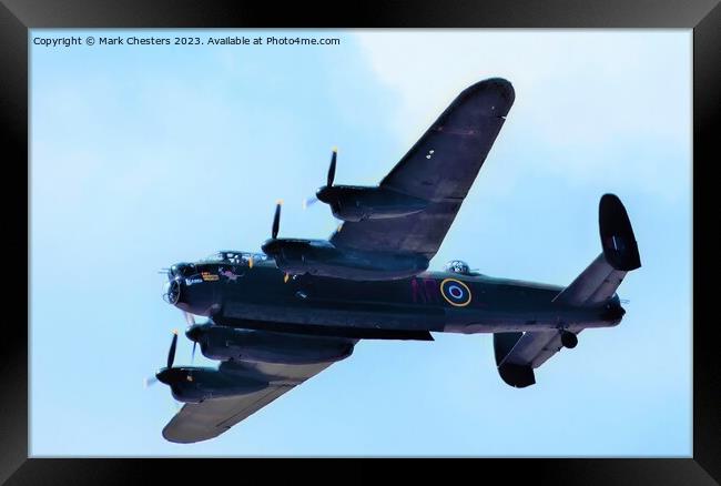 Majesty in Flight Framed Print by Mark Chesters