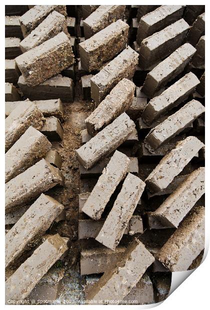 Handmade Indonesian manufactured mud and straw bricks Asia Print by Spotmatik 