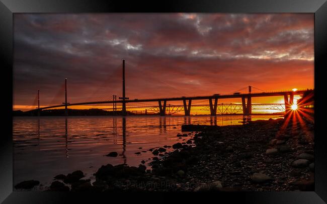 Queensferry Crossing Sunburst Framed Print by Set Up, Shoots and Leaves