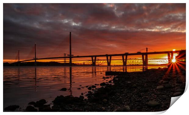 Queensferry Crossing Sunburst Print by Set Up, Shoots and Leaves