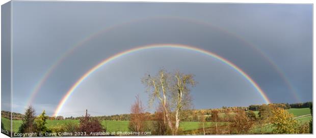 Double Rainbow over Ash Tree in winter in the Scottish Borders United Kingdom Canvas Print by Dave Collins