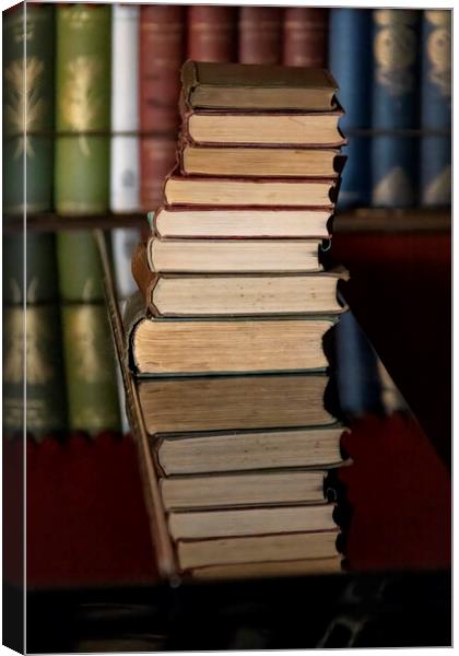Reflections on Books Previously Read Canvas Print by Glen Allen