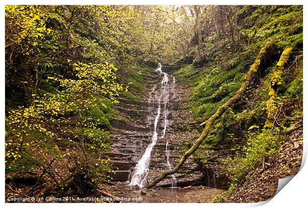 Radnor Forest Waterfall Print by Ian Collins