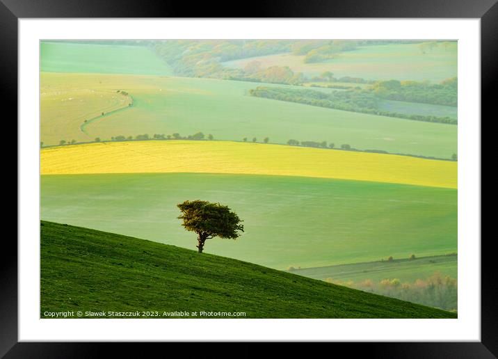 Hawthorny Framed Mounted Print by Slawek Staszczuk