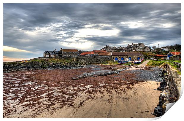 Craster Harbour Print by Kevin Tate