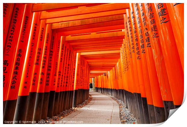 Torii gates Japan Buddhist temple Taisha sacred shrine Print by Spotmatik 