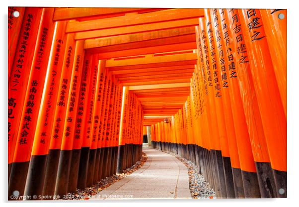 Torii gates Japan Buddhist temple Taisha sacred shrine Acrylic by Spotmatik 