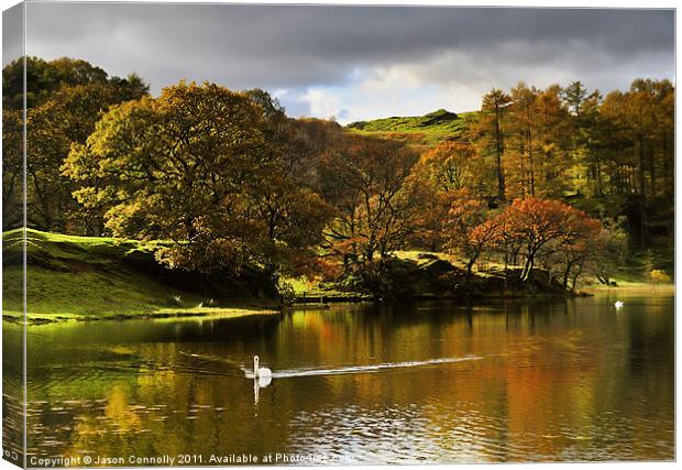 Loughrigg Tarn Reflections Canvas Print by Jason Connolly