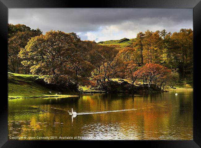 Loughrigg Tarn Reflections Framed Print by Jason Connolly