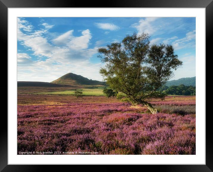 Hawnby Tree Framed Mounted Print by Rick Bowden