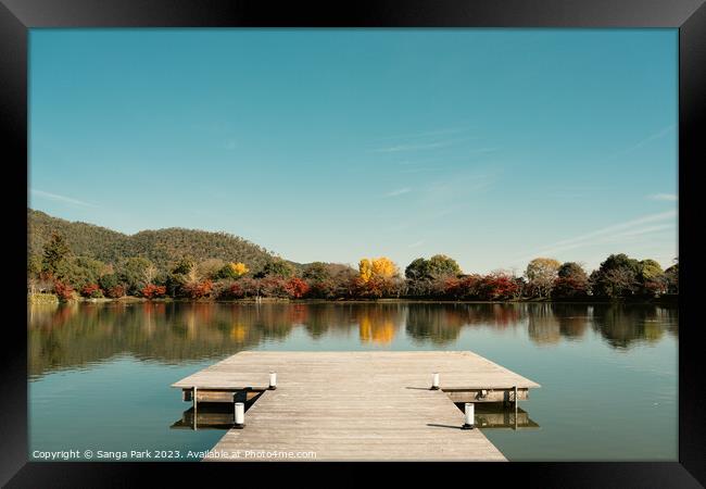 Kyoto Osawa Pond autumn scenery Framed Print by Sanga Park