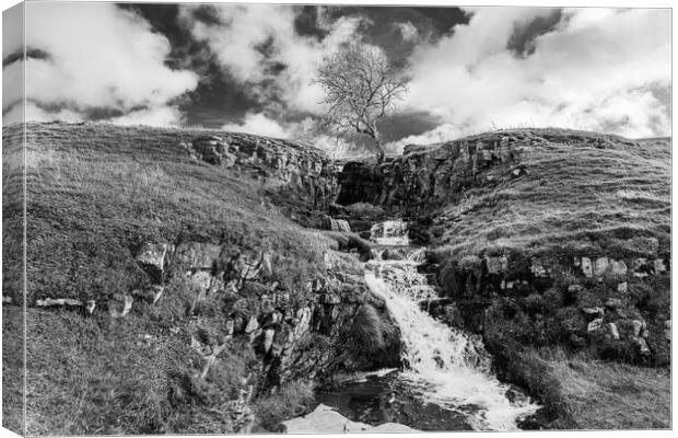 Cray waterfall in black and white Canvas Print by Jason Wells