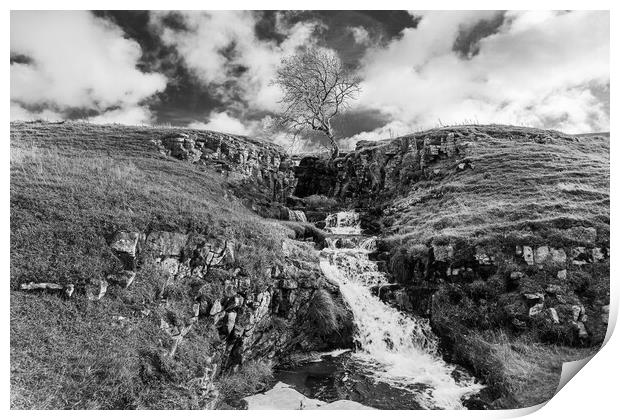 Cray waterfall in black and white Print by Jason Wells