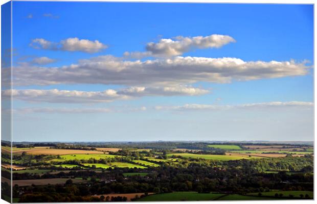 South Downs Beacon Hill Hampshire England Canvas Print by Andy Evans Photos
