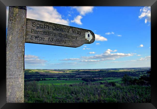 South Downs Beacon Hill Hampshire England Framed Print by Andy Evans Photos