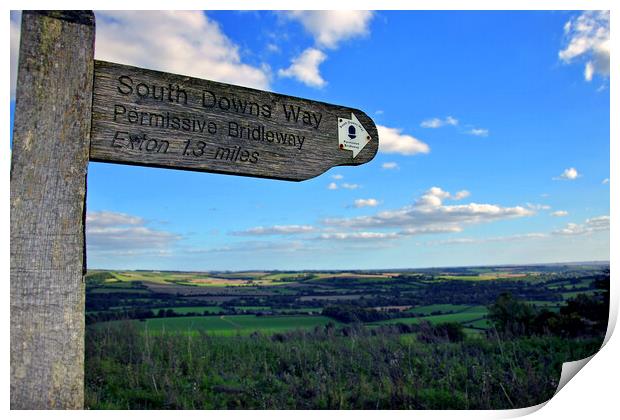 South Downs Beacon Hill Hampshire England Print by Andy Evans Photos