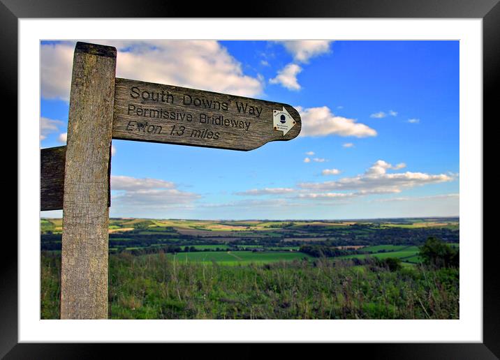 South Downs Beacon Hill Hampshire England Framed Mounted Print by Andy Evans Photos