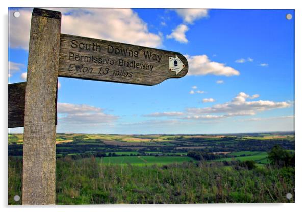 South Downs Beacon Hill Hampshire England Acrylic by Andy Evans Photos