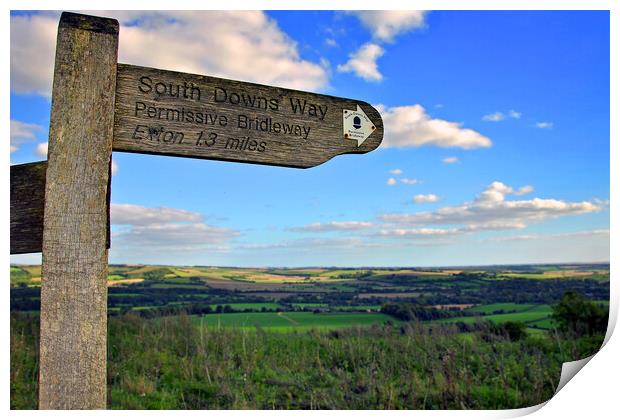 South Downs Beacon Hill Hampshire England Print by Andy Evans Photos