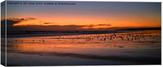 Silhouetted Seagulls on the Sand before Sunrise - Panorama Canvas Print by Jim Jones