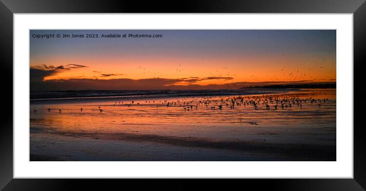 Silhouetted Seagulls on the Sand before Sunrise - Panorama Framed Mounted Print by Jim Jones