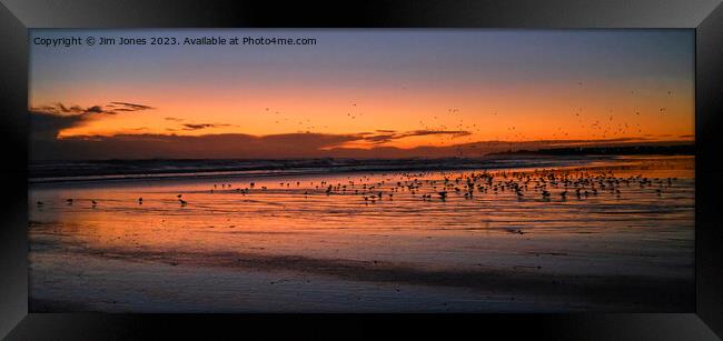 Silhouetted Seagulls on the Sand before Sunrise - Panorama Framed Print by Jim Jones