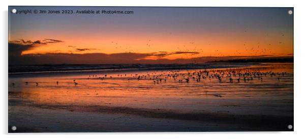 Silhouetted Seagulls on the Sand before Sunrise - Panorama Acrylic by Jim Jones