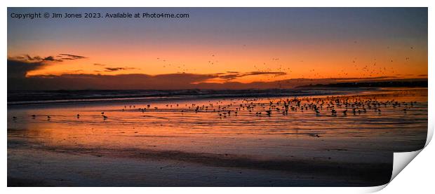 Silhouetted Seagulls on the Sand before Sunrise - Panorama Print by Jim Jones