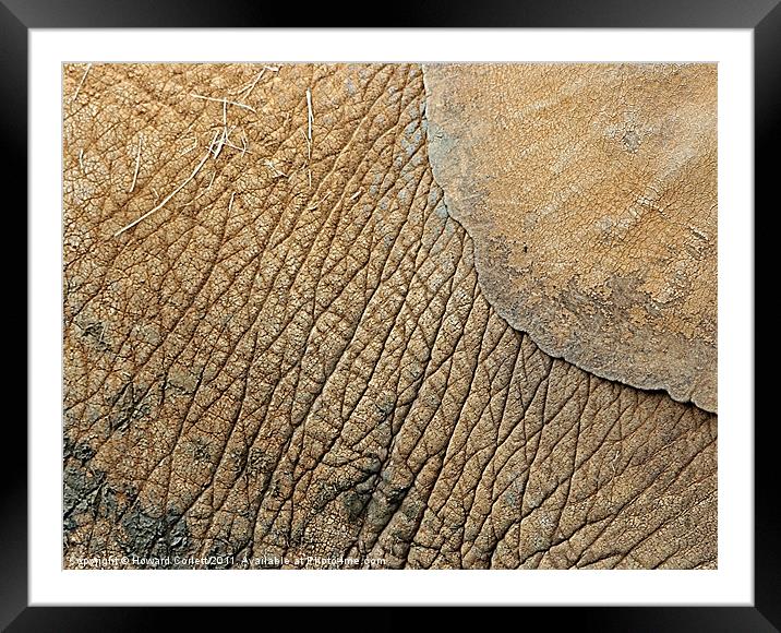 Elephant abstract Framed Mounted Print by Howard Corlett
