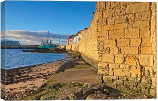 Hartlepool Town Wall Canvas Print by Martyn Arnold