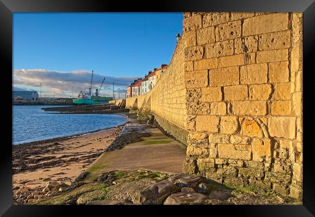 Hartlepool Town Wall Framed Print by Martyn Arnold