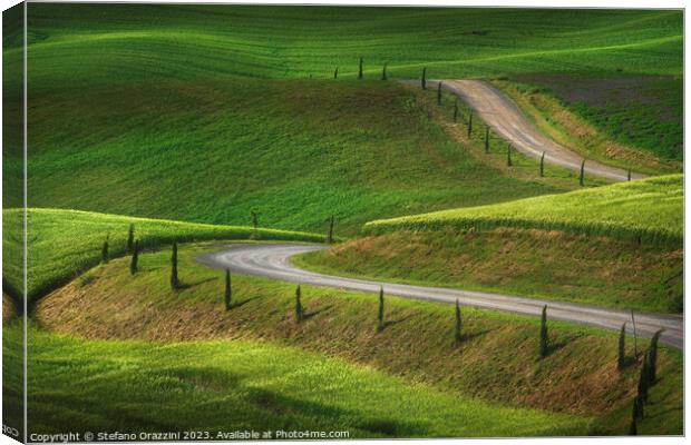 Monteroni d'Arbia, road in the countryside. Tuscany, Italy Canvas Print by Stefano Orazzini