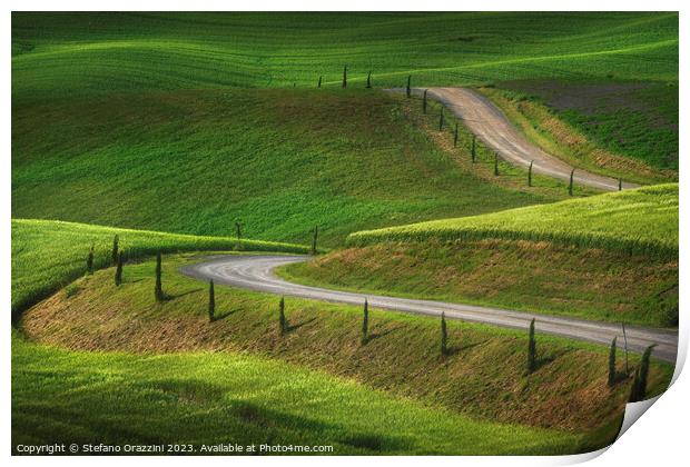 Monteroni d'Arbia, road in the countryside. Tuscany, Italy Print by Stefano Orazzini