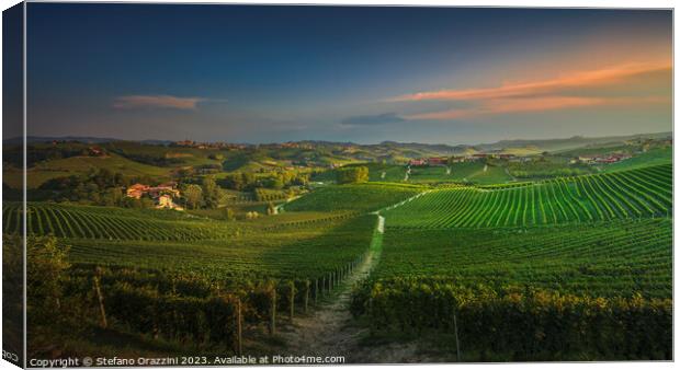 Langhe, path among the vineyards at sunset, La Morra, Piedmont,  Canvas Print by Stefano Orazzini