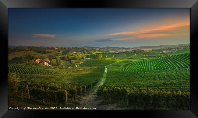Langhe, path among the vineyards at sunset, La Morra, Piedmont,  Framed Print by Stefano Orazzini