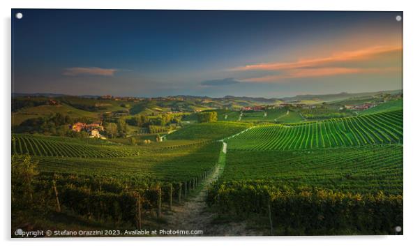 Langhe, path among the vineyards at sunset, La Morra, Piedmont,  Acrylic by Stefano Orazzini