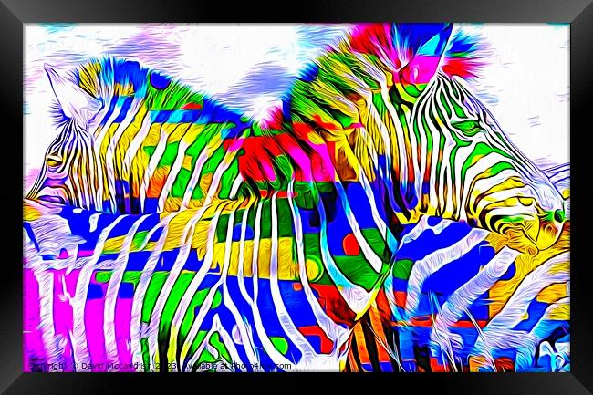Resting Zebras A Contemporary Art Piece Framed Print by David Mccandlish