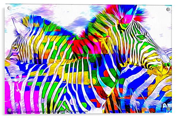 Resting Zebras A Contemporary Art Piece Acrylic by David Mccandlish
