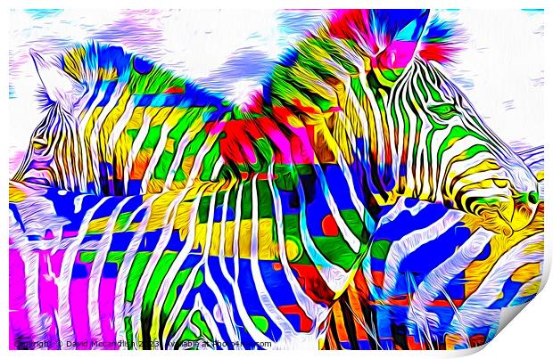 Resting Zebras A Contemporary Art Piece Print by David Mccandlish