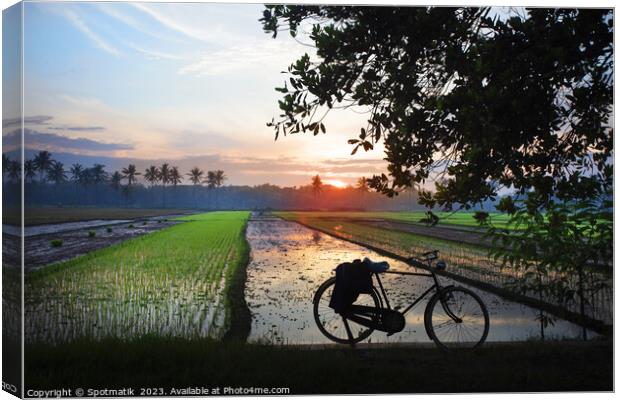 Sunset Java Indonesian bicycle rice paddy fields Asia Canvas Print by Spotmatik 
