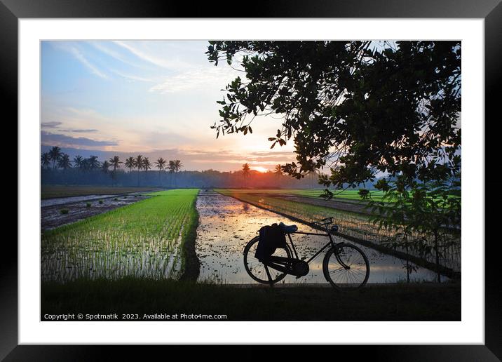 Sunset Java Indonesian bicycle rice paddy fields Asia Framed Mounted Print by Spotmatik 